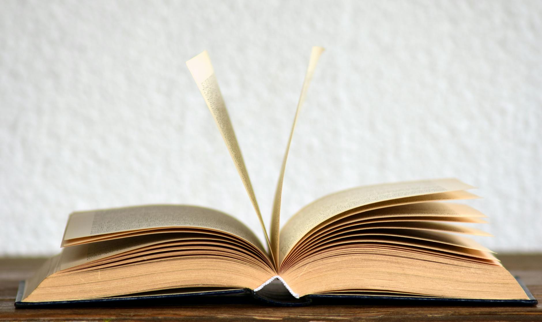 Book Review: The Wingfeather&nbsp;Saga