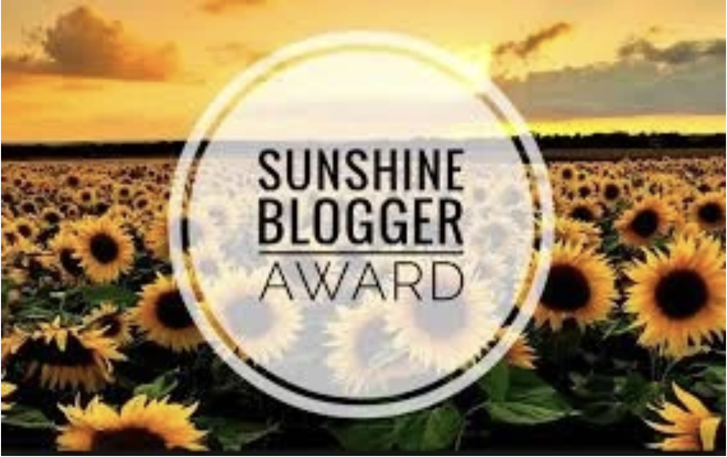 Sunshine Blogger Nominee?