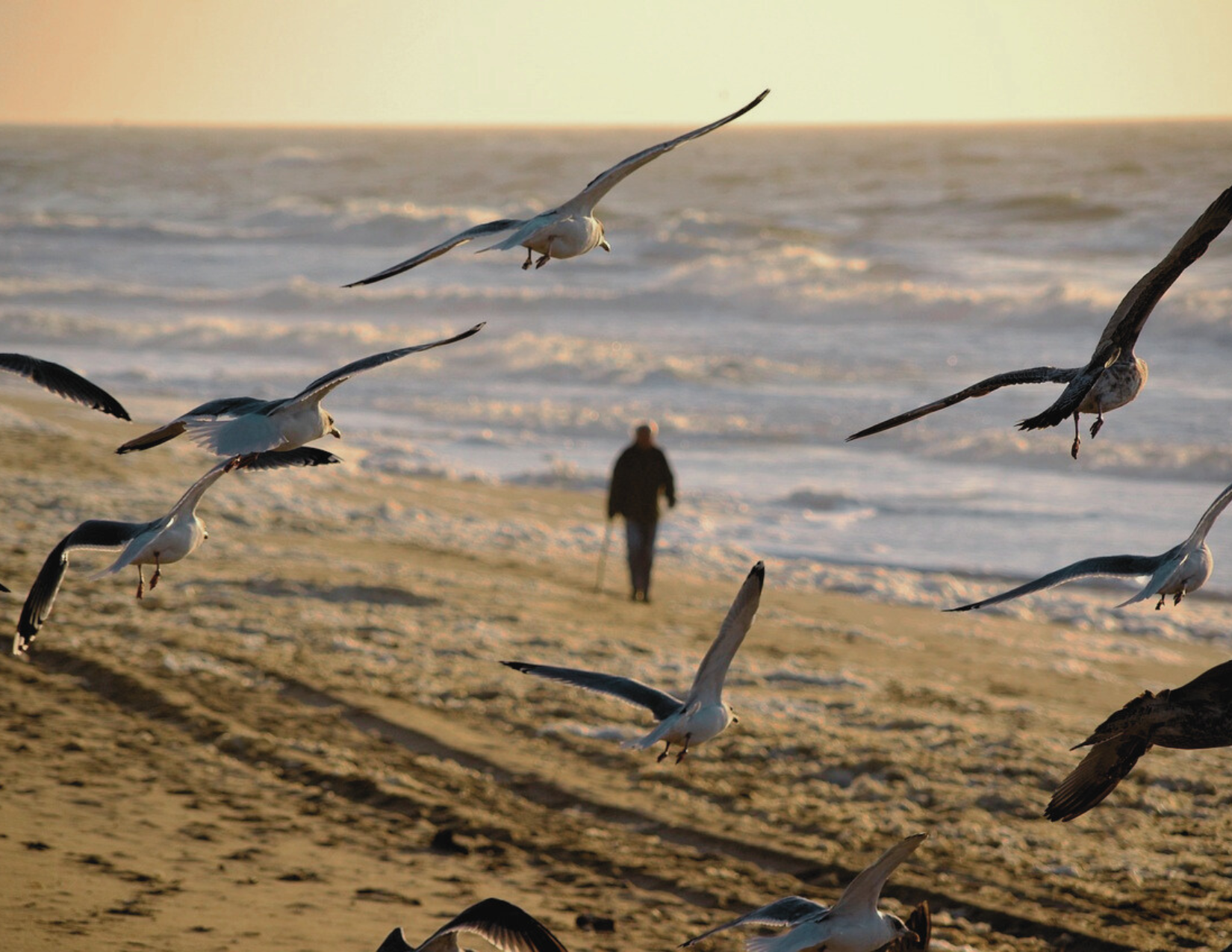 Snippet: The Old Man and His&nbsp;Sea