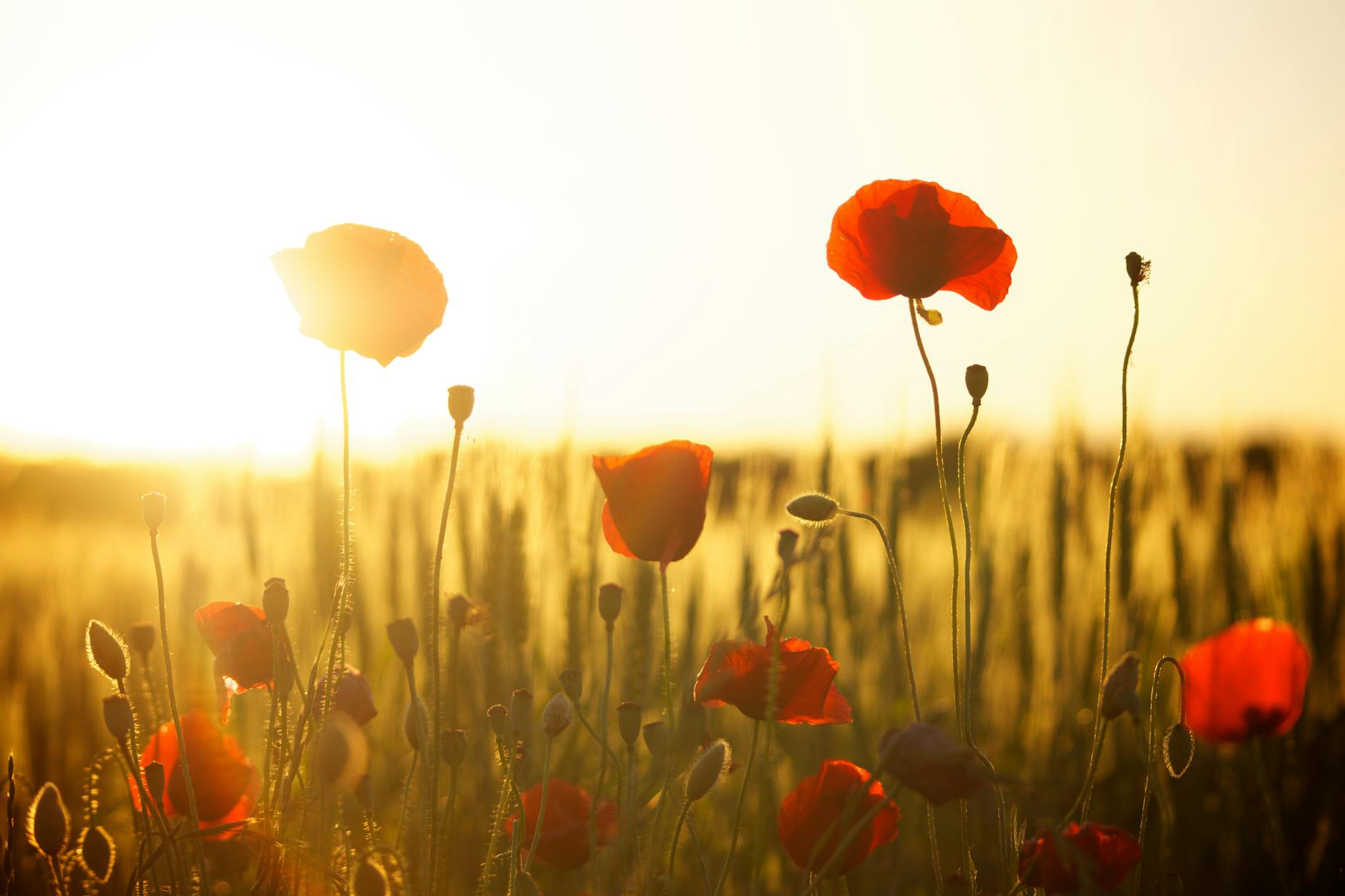 Sunday Encouragement Week&nbsp;77