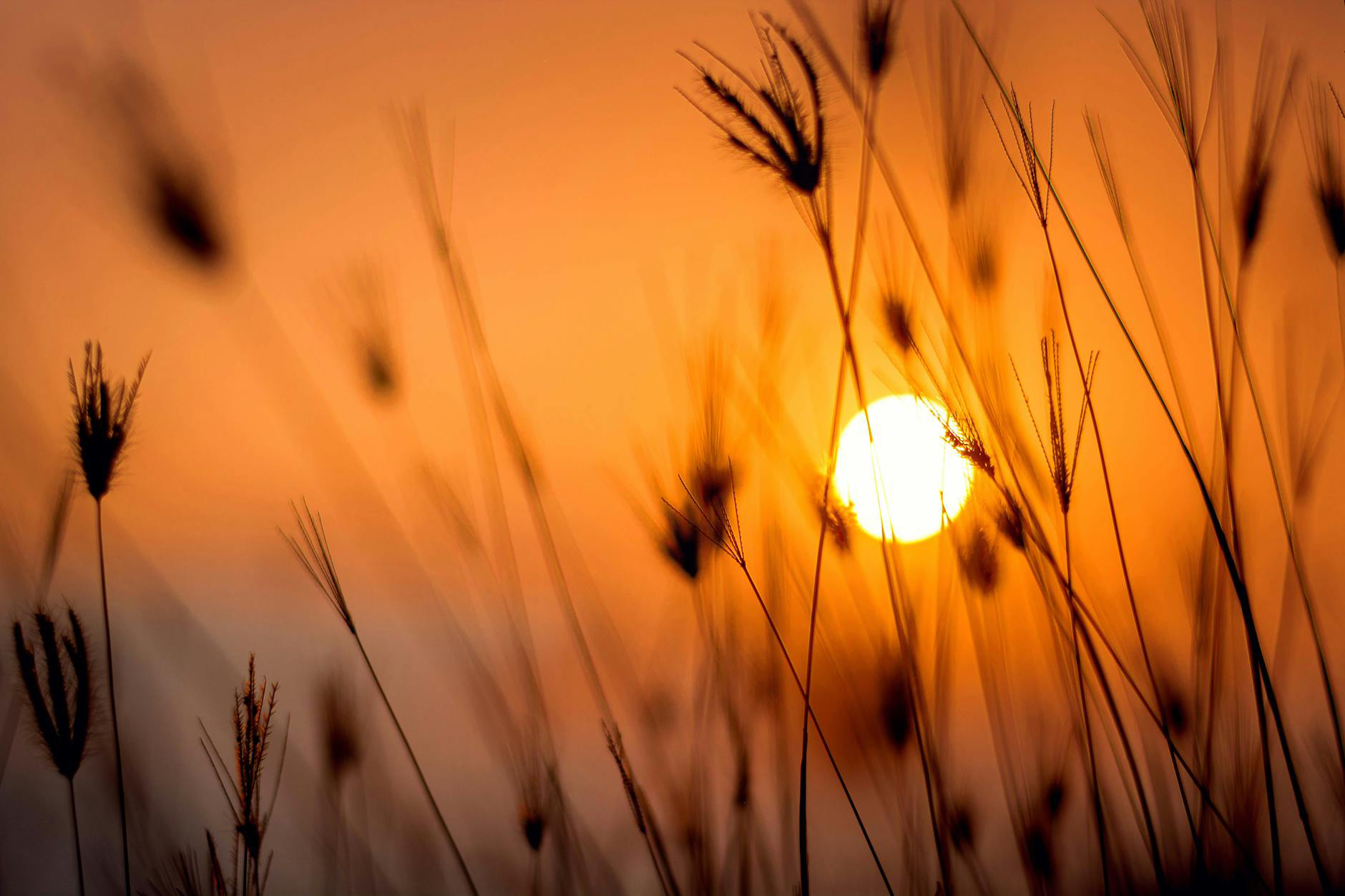 5 Truths and 5 Lies About Mental Health
