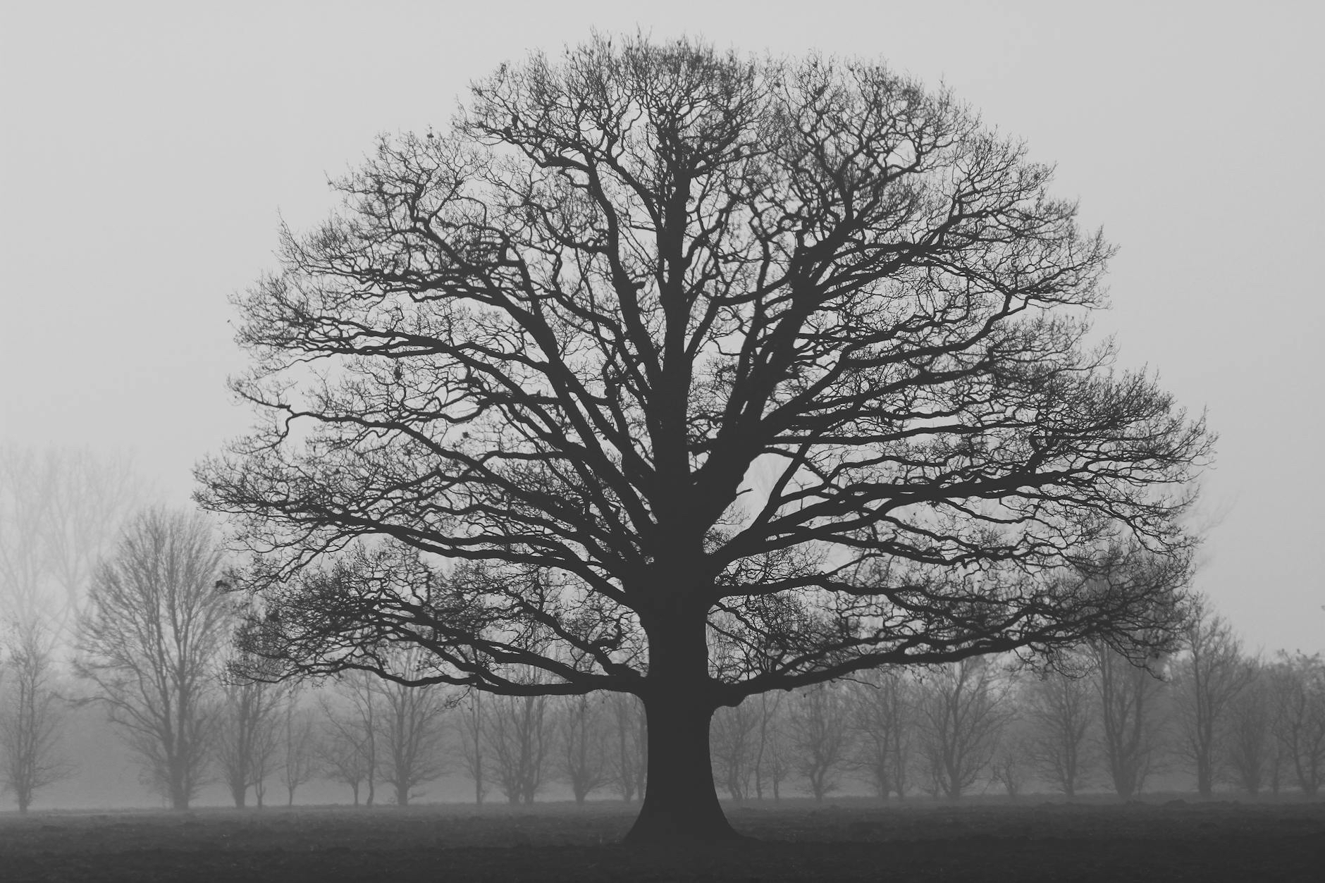 Poem: Do You Want to Know Me?