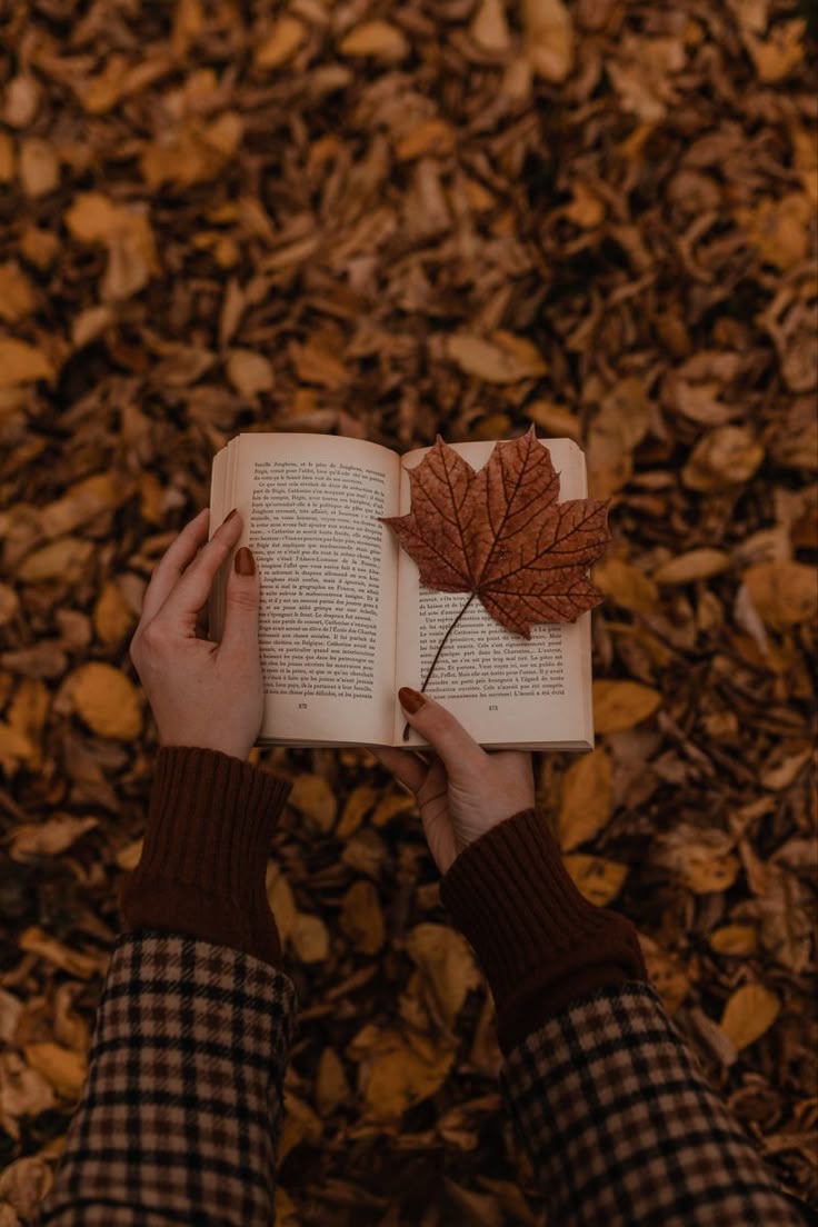 My Fall Bucket List For 2025