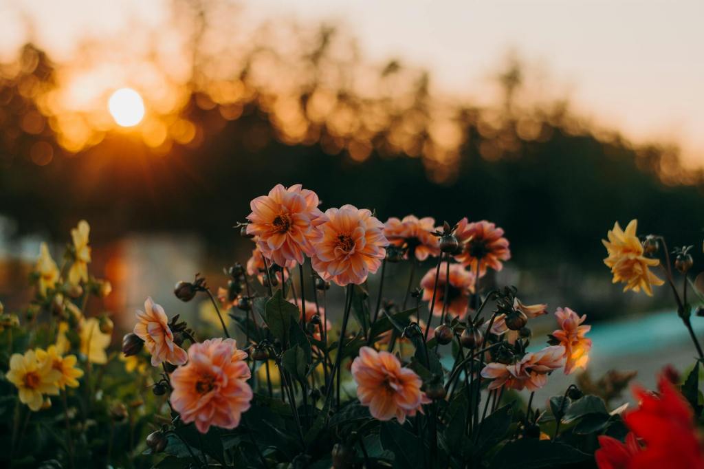 The Bloom Tag Chain&nbsp;Reflection