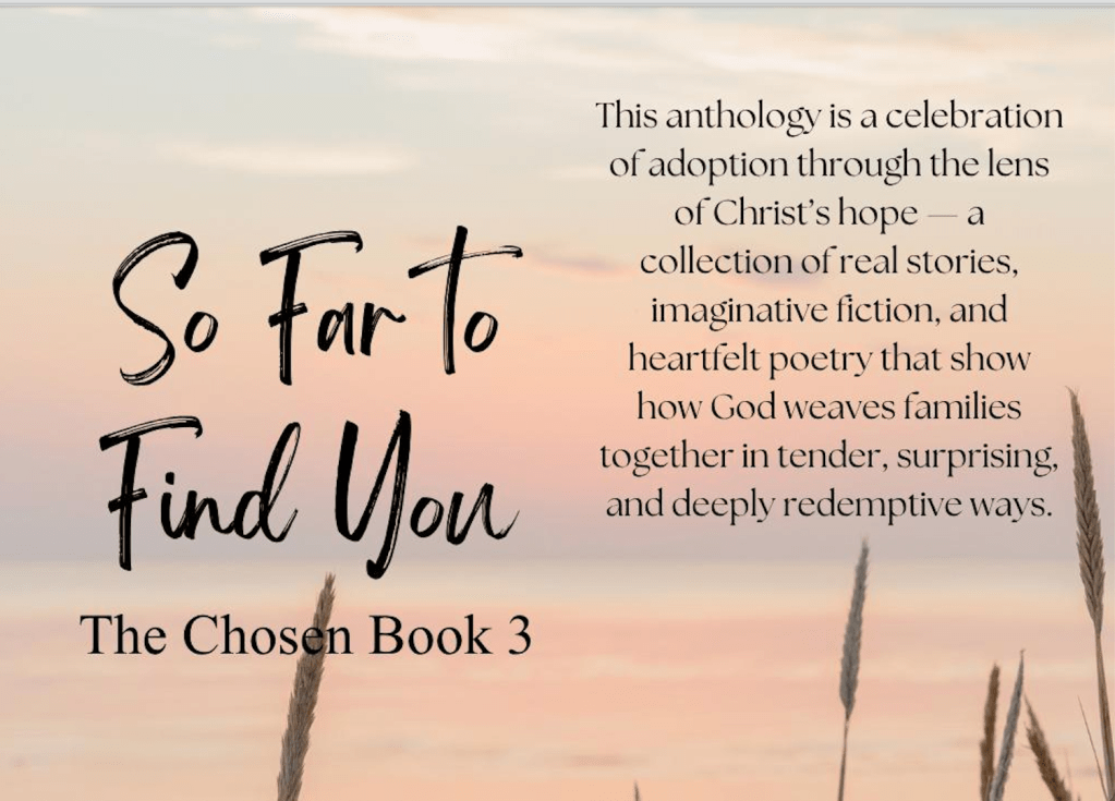 Cover Reveal For: So Far To Find&nbsp;You!