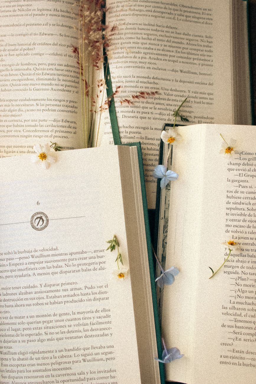 The Master Storyteller: A Guest Post by Mary&nbsp;Rose